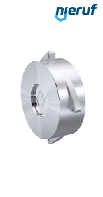 Rückschlagventil DN 25 Edelstahl 1.4408 EPDM PN 6 bis 40 (+ASME B16.5 / ANSI 150 und 300)