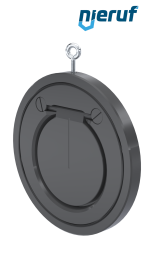 Zwischenflansch-Rückschlagklappe DN125 ZR05 Kunststoff PVC-U EPDM