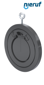 Zwischenflansch-Rückschlagklappe DN80 ZR05 Kunststoff PVC-U EPDM